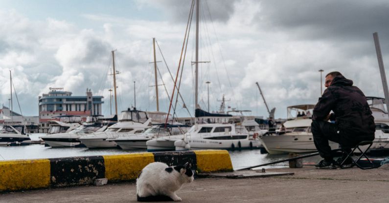Marinas - A man sitting on a bench next to a cat