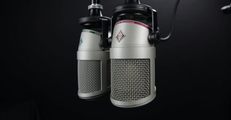 Radio - Two Gray Condenser Microphones