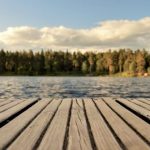 Dock - Green Leafed Trees