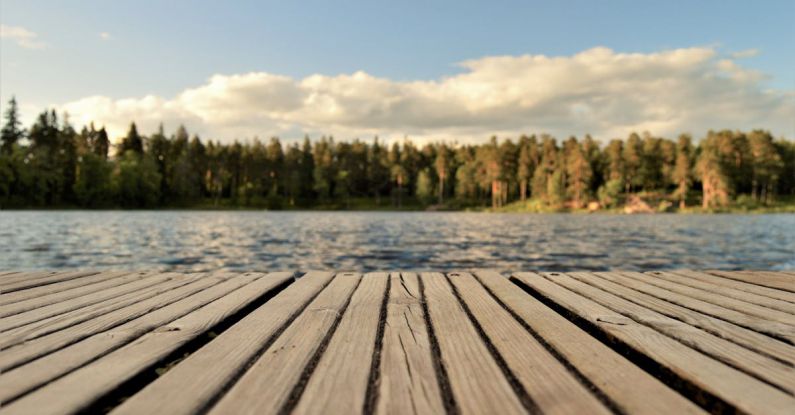 Dock - Green Leafed Trees