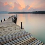 Dock Lines - Brown Dock