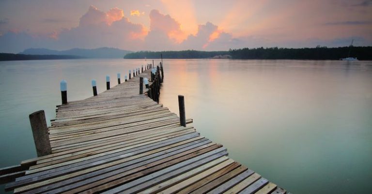 Dock Lines - Brown Dock