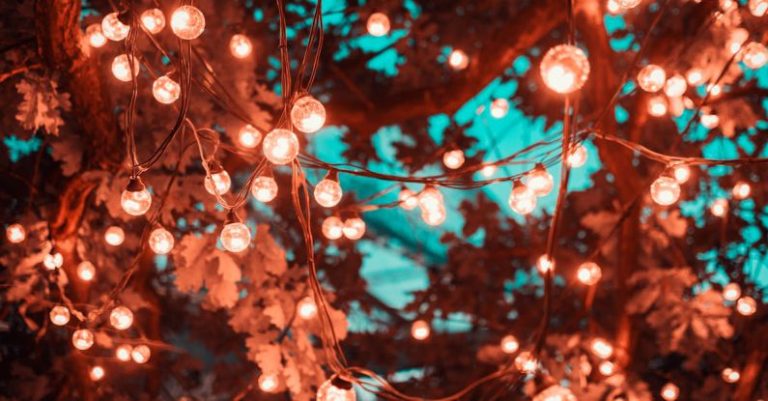 Lights - Brown String Lights in Tree